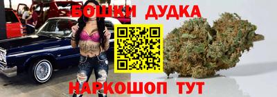 индика Ликино-Дулёво
