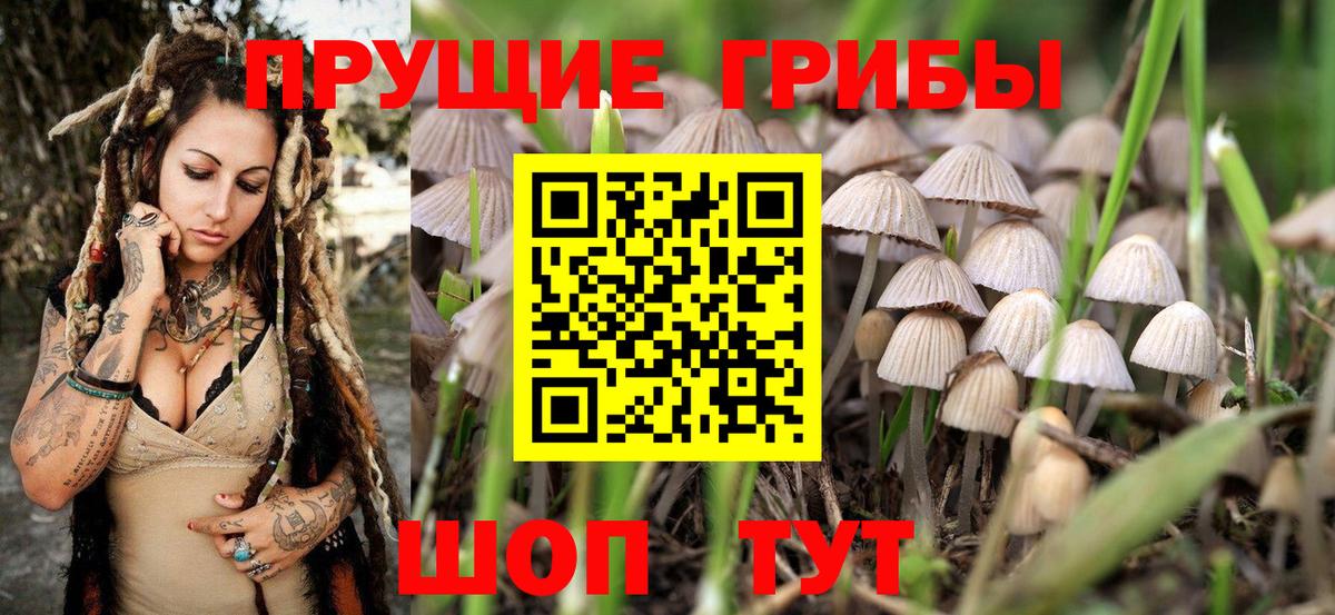 Дмитров  Галлюциногенные грибы MAGIC MUSHROOMS  Вход с VPN  Галлюциногенные грибы мухоморы 
