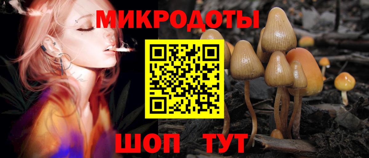 Галлюциногенные грибы мухоморы Дмитров